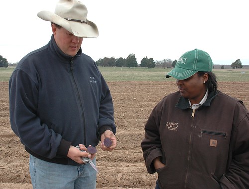Ben Godfrey, left, organic farmer and owner of Sand Creek Farm in Cameron, Texas, shows NRCS district conservationist Todnechia Mitchell a Purple Majesty potato, one of many varieties grown on the farm. Godfrey also grows onions, peas, tomatoes, squash, melons, peppers and okra. 
