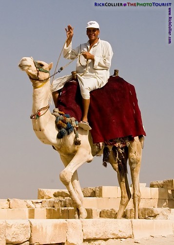 A local vendor waves from atop his camel as we depart the funerary premises of the step pyramid of Djoser at Saqqara, near Cairo, Egypt.