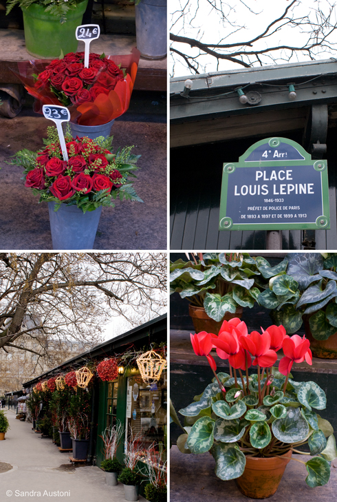 Flower market, Ile de la Cite (Paris)