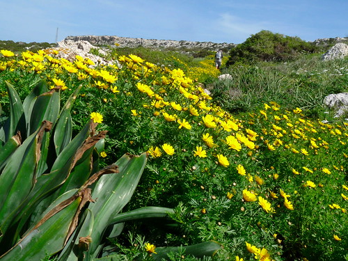Cyprus - Cape Greco