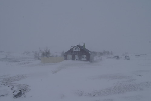 Snow storm at lake Myvatn area