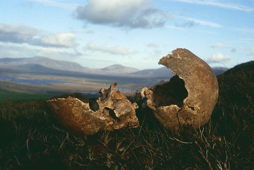 Broken Vessel, Corrain Peninsula, Co Mayo 1998