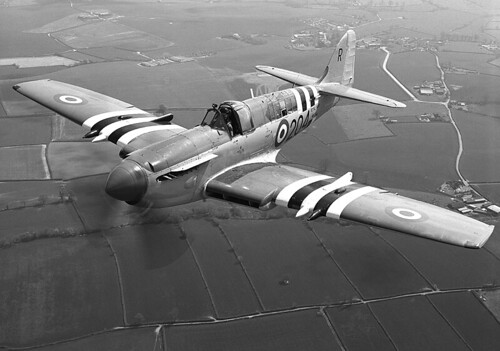 Warbird picture - Fairey Firefly