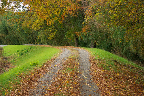 秋の小道 / footpath