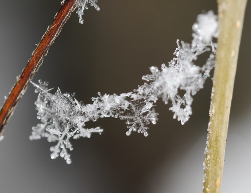 雪の結晶画像