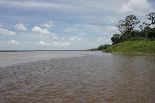 Amazonas - Iquitos - Perú 2009 (4)