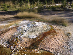 This is a little thermal bubbler located far up the warm creek.  Dr. Sarah Boomer's website has a photo of this feature as well.
