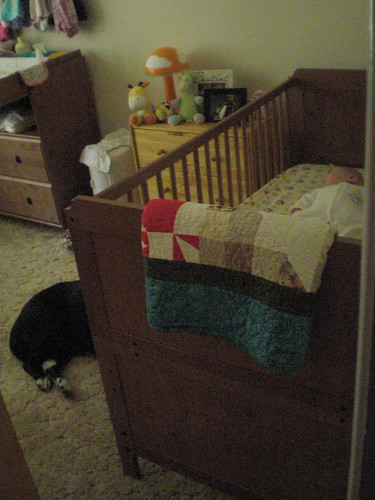Guarding the crib