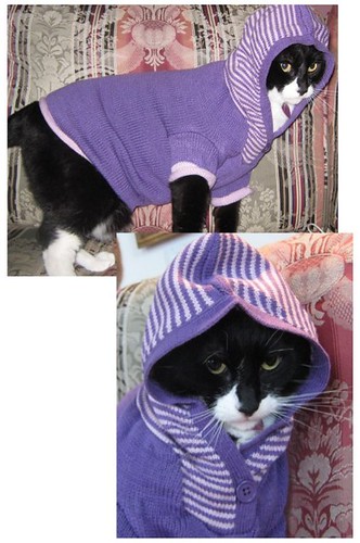 Knitting Project of the Day: Cat Sweater