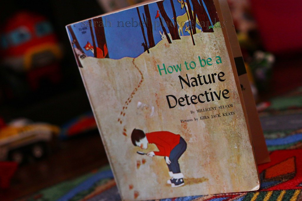 . how to be a nature detective .