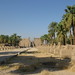 Temple of Luxor, Avenue of the Sphinxes (4) by Prof. Mortel