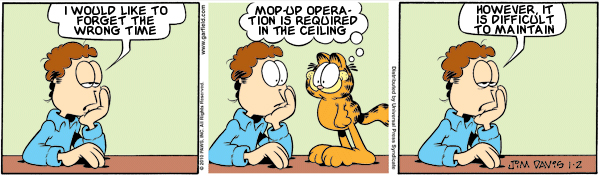 Garfield: Lost in Translation, January 2, 2010