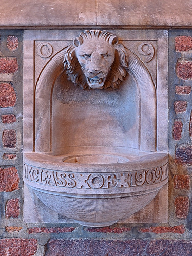 Washington University, in Saint Louis, Missouri, USA - Lion fountain at Brookings Hall