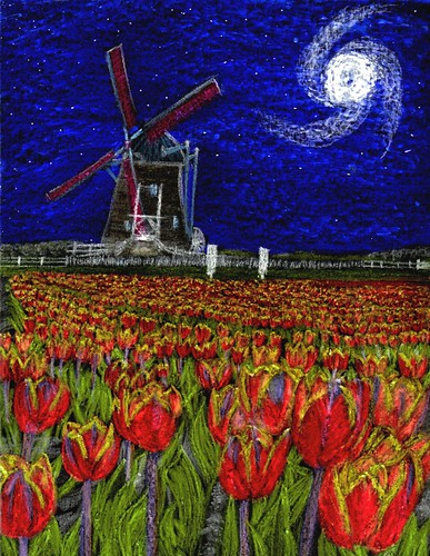 Midnight Tulips