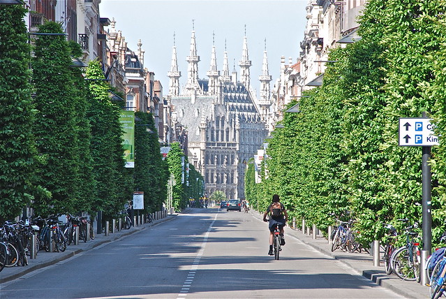 L'avenue des Alliers et plus loin l'Hôtel de ville (Leuven-Belgium)