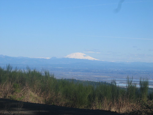 Mt St Helens from Skyline Drive