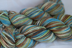 Freedom  on 3-ply Merino Wool - 3.5 oz. (...a time to dye