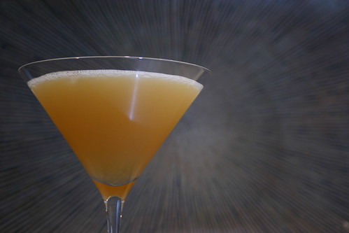 The Algonquin Cocktail