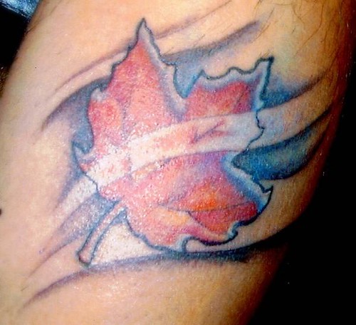 Canada+maple+leaf+tattoo