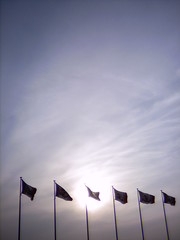 【写真】Flags (DCC Leica M3)