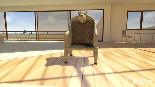 Home Tester Goat Chair