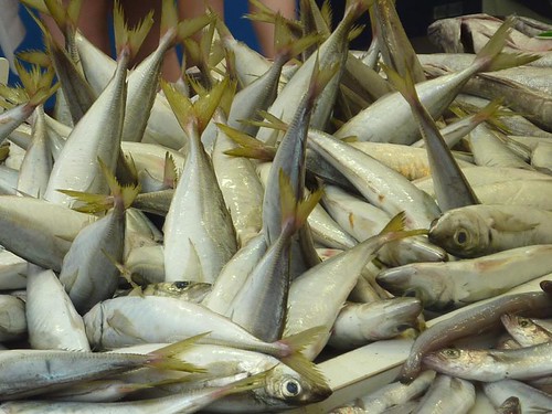 Jurel, Fish market, Malaga
