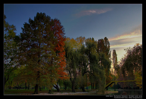 IOR park in the autumn