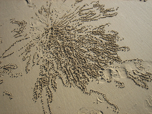 Design in the sand from crabs on the beach in Mooloolaba