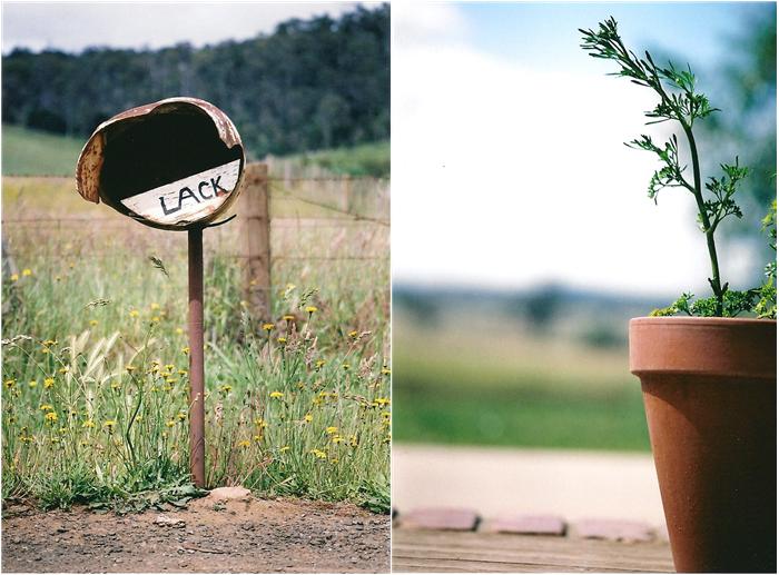 plant pot and letterbox