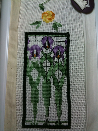 iris window garden progress 1-7-10