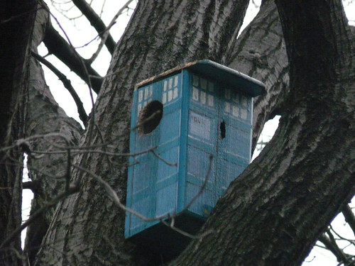 The TARDIS squirrel house