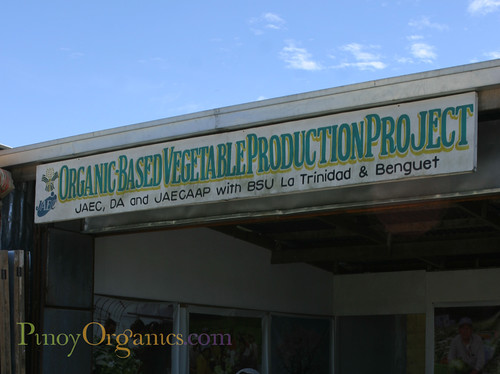 organic vegetable store