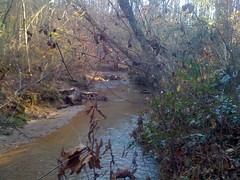  Walnut Creek