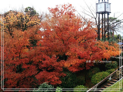 2009-12-11 京都 065 R