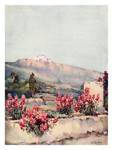 025- El Pico del Teide desde la villa de la Orotava-The Canary Islands (1911) -Ella Du Cane