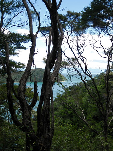 Hike through Abel Tasman