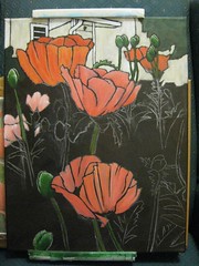 Poppies WIP