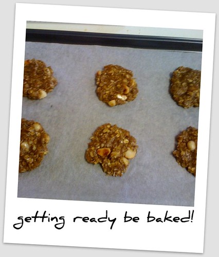 Macadamia Anzac biscuits waiting to go in oven