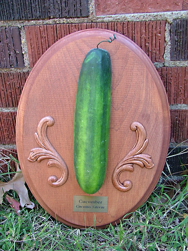 Cucumber Trophy