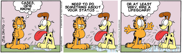 Garfield: Lost in Translation, November 7, 2009