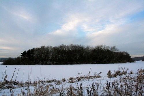 040110_ Strathclyde Park in the snow_ 005