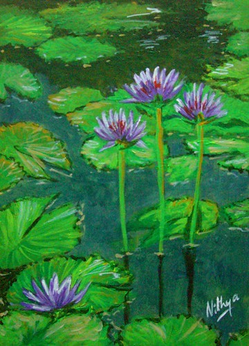 Waterlily #18