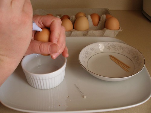 How to Blog Eggs- 6