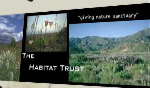 the habitat trust in second life