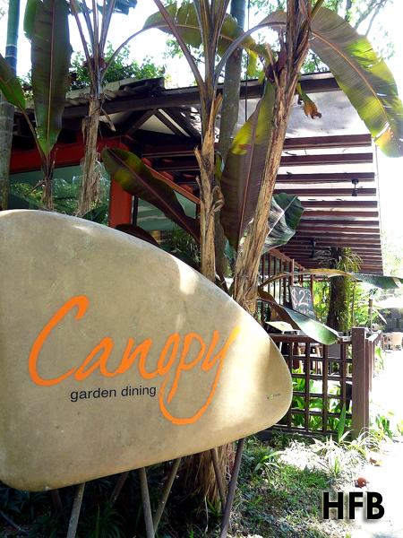 Canopy 15