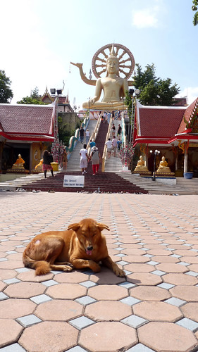 Koh Samui Wat Prayai コサムイ プラヤイ寺