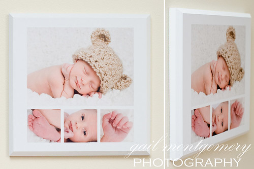 Baltimore Maryland Baby Child Family Photographer GALLERY MOUNT