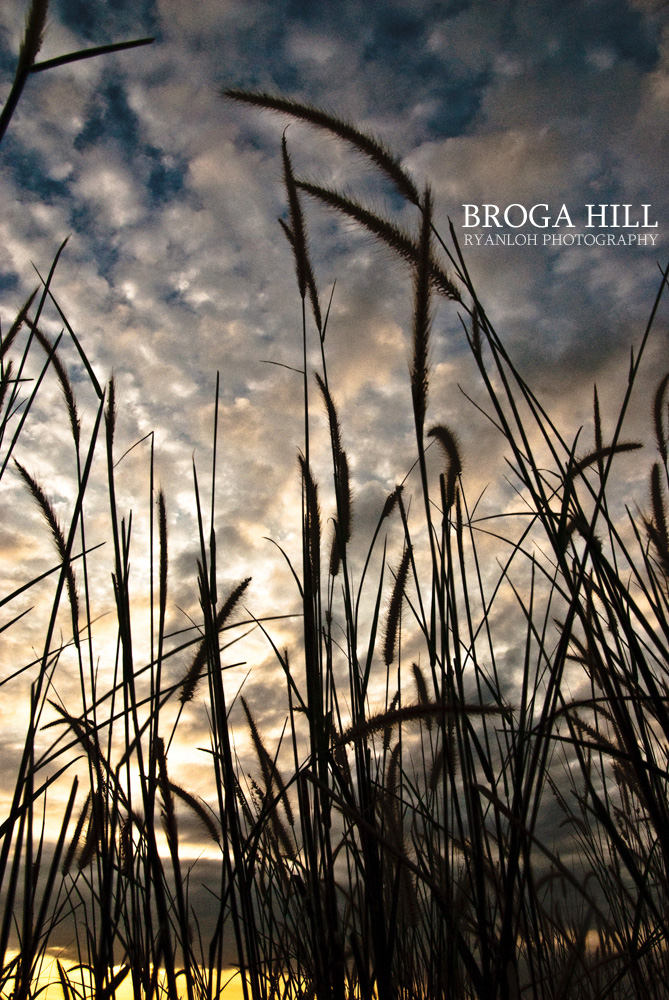 Broga Hill's Sunrise