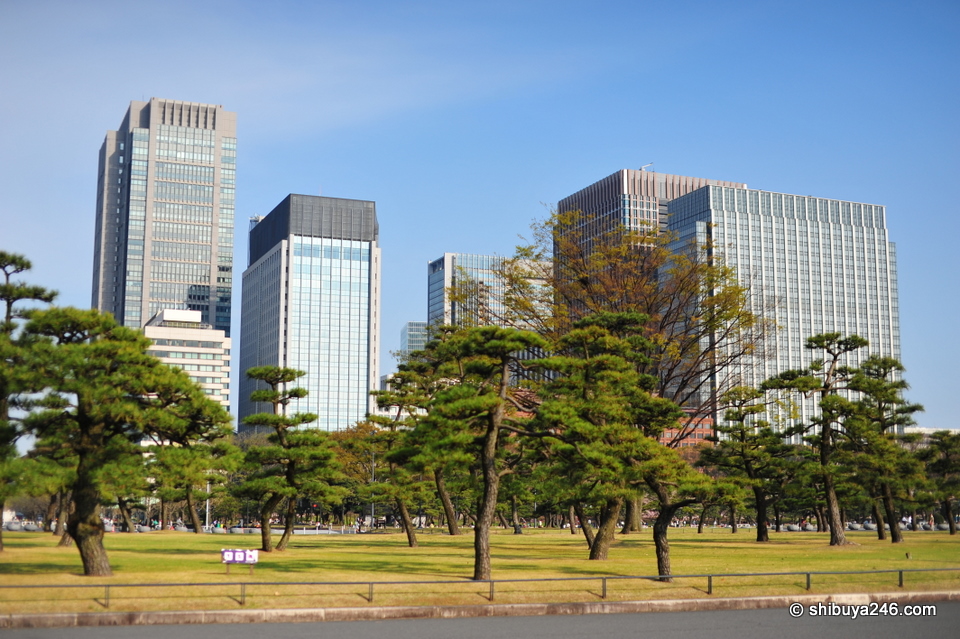 The buildings at Tokyo Station seen through the park.