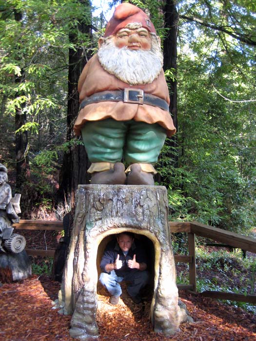 Giant Gnome2